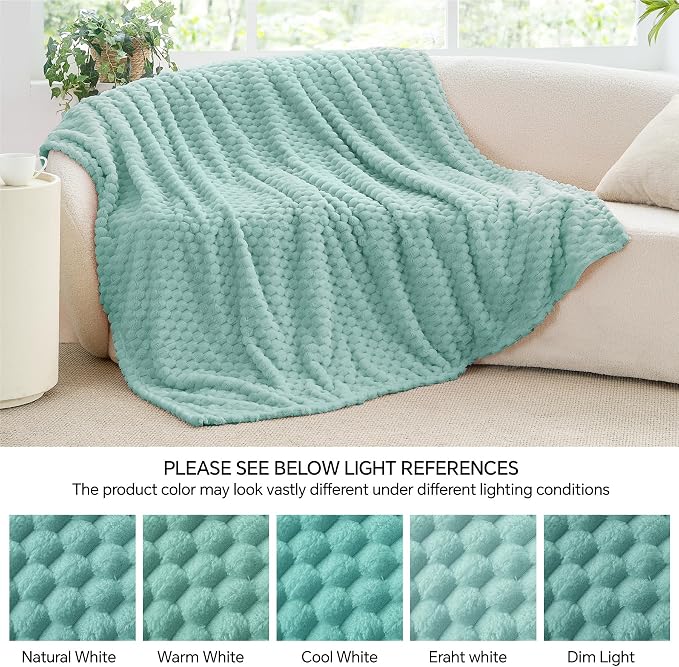 BEDELITE Haze Blue Throw Blanket for Couch, Soft Cozy Gift for Women, 50*60 | 3D Jacquard Decorative Fleece Blanket, Super Soft Plush Throws, Cute Birthday Gift for Women & Men, Suitable for All Seasons