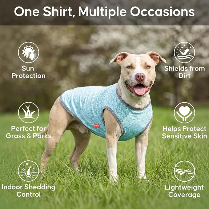 KYEESE 2Pack Dog Shirt for Small Dogs Sun Protection Tank Top for Summer | Reflective for Safety, Lightweight & Breathable, Shedding Control, Skin-Friendly for Sensitive Dogs, Easy On/Off, Quick Dry