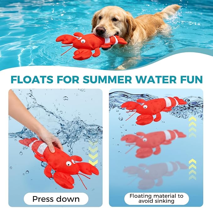 BINGPET Floating Dog Toys,2 Pack Squeaky Water Toys for Pool,Lobster&Squid