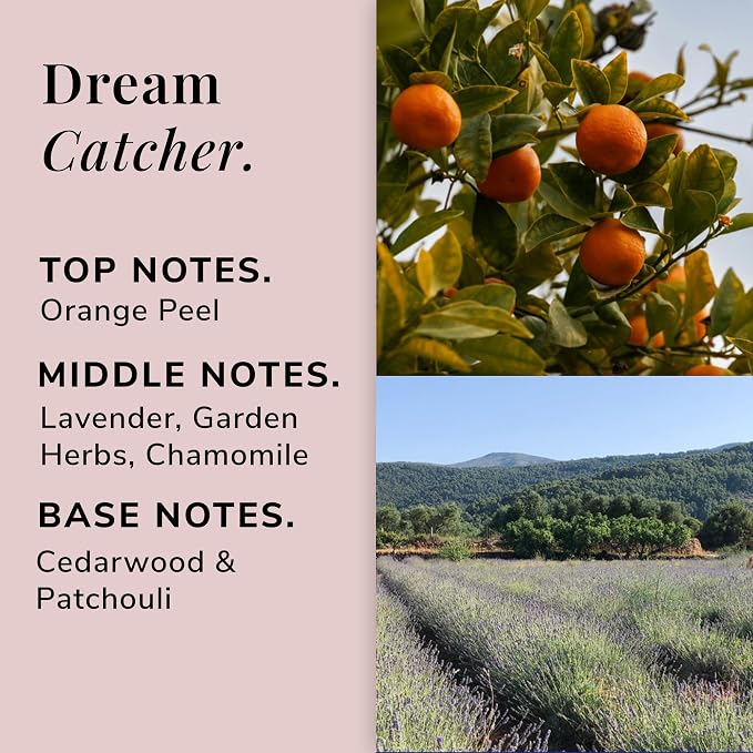 Dream Catcher Aromatherapy Candle – Orange Peel, Lavender & Patchouli Scented Candle, Plant-Based Wax, Mini 2.5 oz, 15 Hour Burn Time, Relaxation & Sleep Candle