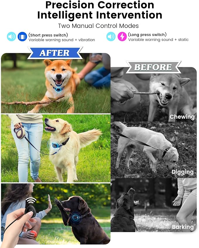 Dog Bark Collar with Remote