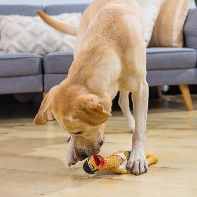 Outward Hound Squawkers Squeaky Latex Dog Toy, Earl, 11.4"