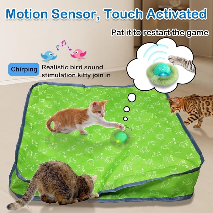 Waaiio Interactive Cat Toys for Indoor Cats,Automatic Moving Cat Ball in Pouch,Chirping Stimulation,Hide-n-Seek Chase Exercise Game,Motion Activate,Rechargeable Kitten Toys