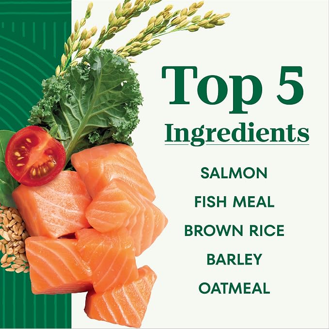 Nutro Natural Choice Small Bites Dry Dog Food, Salmon & Rice, 28 lb | Non-GMO, Real salmon #1 ingredient, Omega-3 & Omega-6 for skin & coat, no corn, wheat, soy, supports digestion & immunity