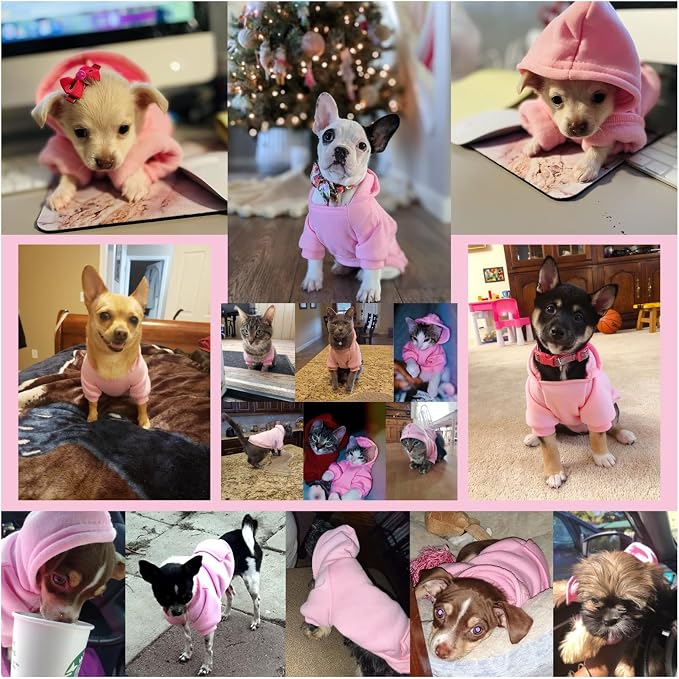 Soft Dog Hoodies for Small Dogs, Warm Fleece Puppy Clothes with Pocket | Jecikelon cold weather coat, cute puppy costume, breathable sweatshirt for dogs girl & boy, machine washable, easy on & off