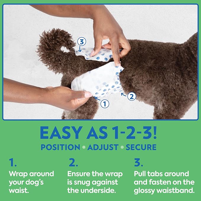 OUT! PetCare Male Dog Diapers, Disposable Belly Bands, XS/S, 32 Count | Dog Belly Bands, Potty Training, Incontinence Support, Leak Proof, Disposable Wraps, Male Wrap, Puppy Essentials, Dog Wrap