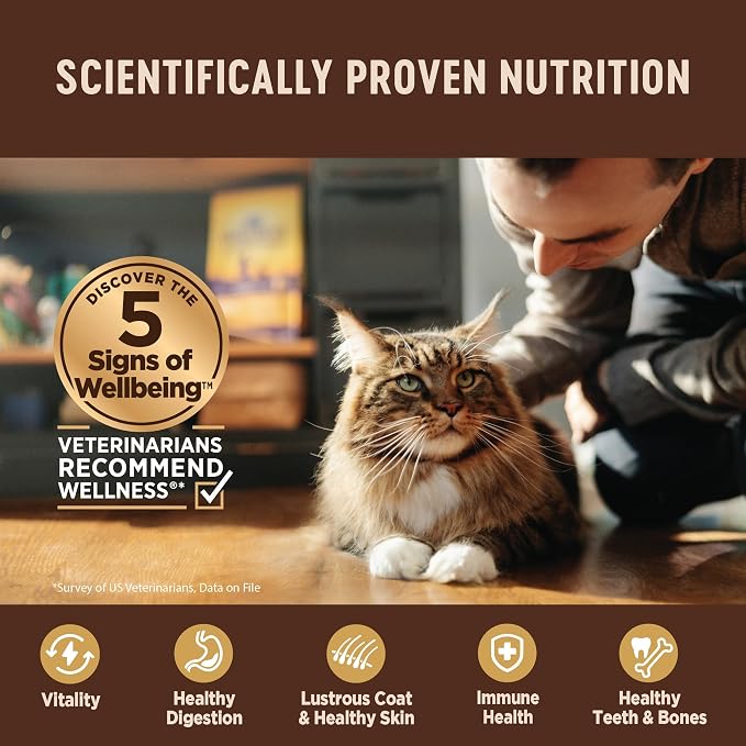 Wellness CORE Tiny Tasters Flaked Adult Wet Cat Food, Natural, Protein Rich, Grain Free, Tuna and Shrimp Recipe, 1.75 oz, Pack of 12 Pouches