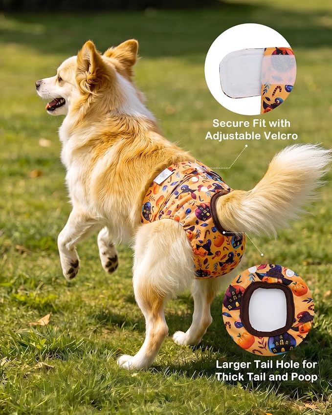 CuteBone Dog Diapers Female Halloween Washable Small Medium Large 3 Pack Reusable Doggie Diapers Puppy Period Pants for Doggy Heat Cycle Peeing D83XL