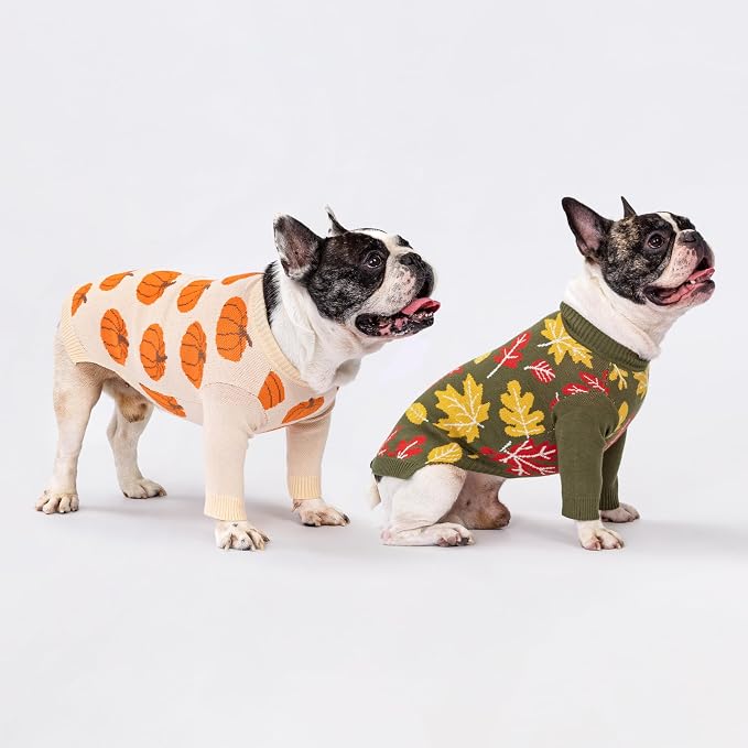 Fitwarm Pumpkin Dog Sweater, Thanksgiving Outfit for Small Dogs Boy Girl, Pet Outfit, Orange, Beige, Medium