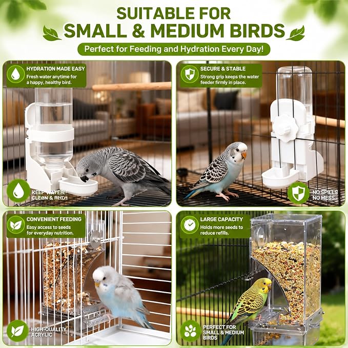 Rypet No-Mess Bird Feeder and Water Dispenser Set for Small Birds | Automatic Bird Feeder, Transparent Acrylic Food Container, Helps Reduce Seed Scatter, for Parakeet Cockatiel Parrot Canary