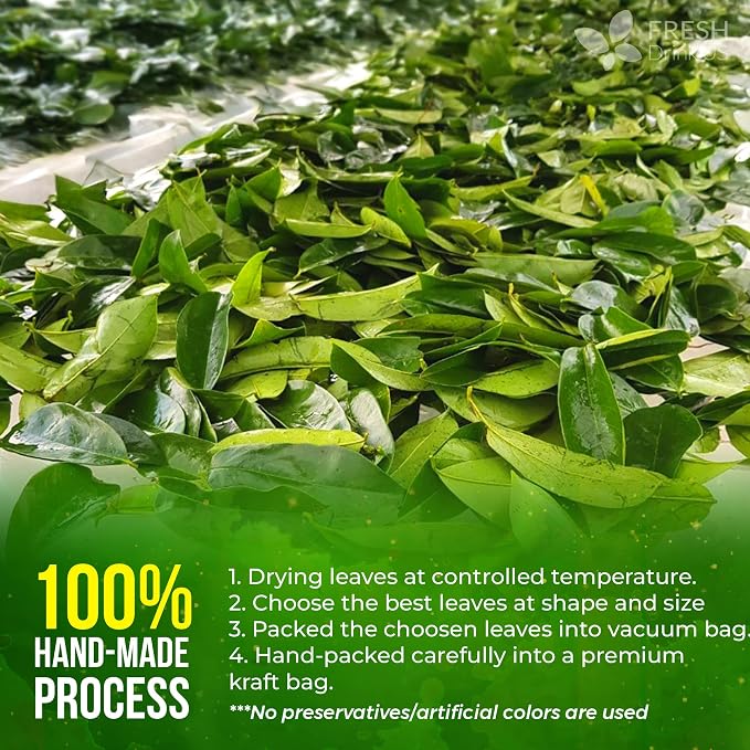 FreshDrinkUS, 330-350 Premium Soursop Dried Leaves Tea, 115 Cups, Hojas De Guanabana Whole Leaves, Wildcrafted, Graviola, Soursop, Guanabana Tea, Loose Leaf Herbal Tea, Gluten/Sugar/Caffeine Free