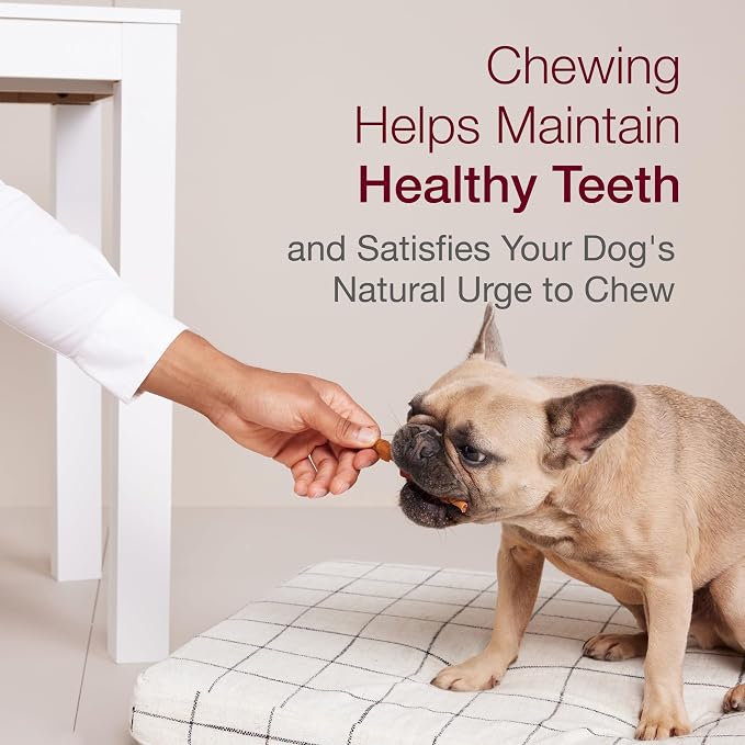 SmartBones Kabobz Rawhide-Free Dog Treat, Chicken, Pork, Duck, 18 Count | Highly Digestible, Vitamin & Mineral Enriched, Supports Dental Health, For Adult Dogs