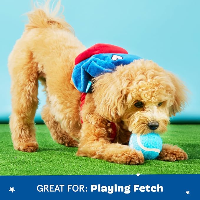 BarkBox Janspup Backpack 3-in-1 Interactive Plush Dog Toy