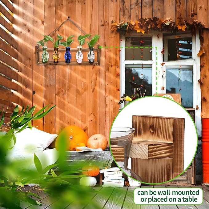 Plant Terrarium Propagation Stations Halloween Skull Planter Vase Skulls | decor With Wooden Stand Gife for Father - 5 Vases