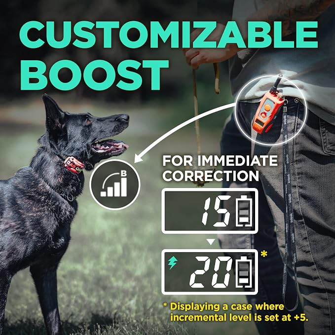 Dogtra E-Collar Tom Davis 280C Boost & Lock, Waterproof, 1/2-Mile Range Dog Training Collar with Remote, Rechargeable, 127 Levels, Vibration, Bungee, No Bad Dogs Trainer for Small, Medium, Large Dogs