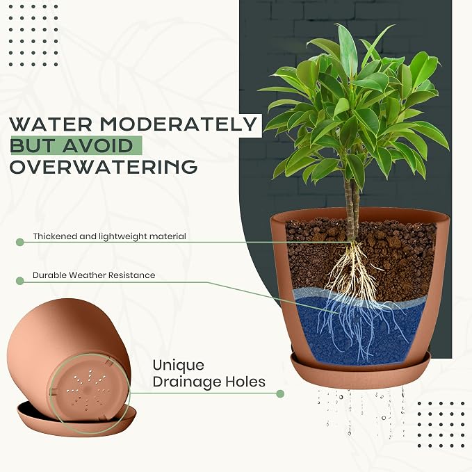 Plant Pots Indoor with Drainage 10 Pack Multi-Size Planters Set Terracotta | Drainage holes included Multiple sizes 7/6.6/6/5.3/4.8 In Indoor plants and flowers Durable plastic construction