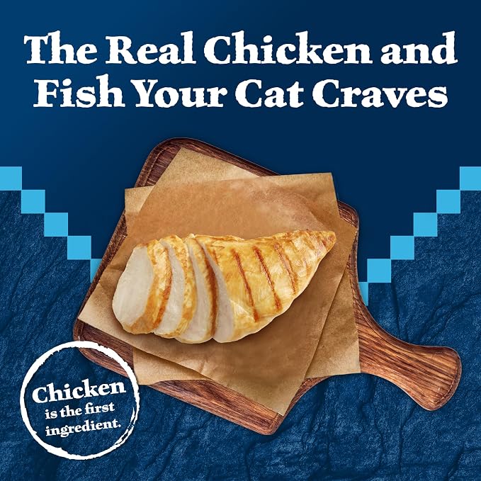 Blue Buffalo Wilderness Chicken & Trout Wet Cat Food, 3 oz, 24 ct | Wild Delights Meaty Morsels in Tasty Gravy, High Protein & Grain-Free Recipe, Made with Natural Ingredients