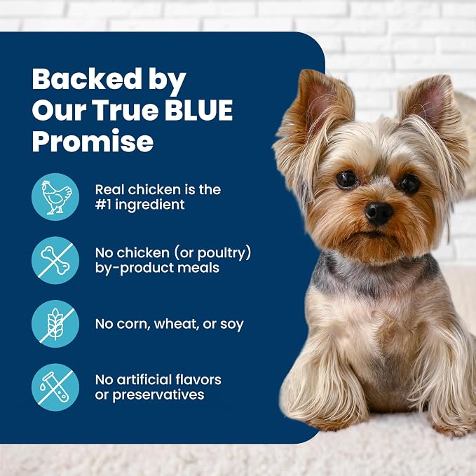 Blue Buffalo Life Protection Formula Small Bite Chicken Dry Dog Food, 34 lb | Smaller Kibble for Easier Chewing, Real Chicken #1 Ingredient, Supports Immunity with Antioxidant-Rich LifeSource Bits