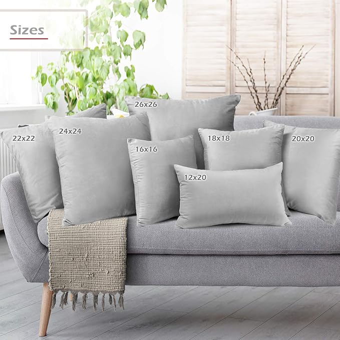 Throw Pillow Inserts Pack of 2 with Velvet Soft Solid Decorative Square Throw Pillow Covers Set for Sofa Couch Car Bedroom, 26X26 Throw Pillows Inserts with 24x24 Washable Cushion Covers, Light Gray