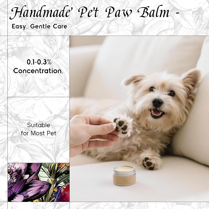 HIQILI Looking for Myself Fragrance Oil for Diffuser, DIY Candle, Soap, Perfume Making, Long Lasting Warm & Sweet Scents - 1 Fl Oz