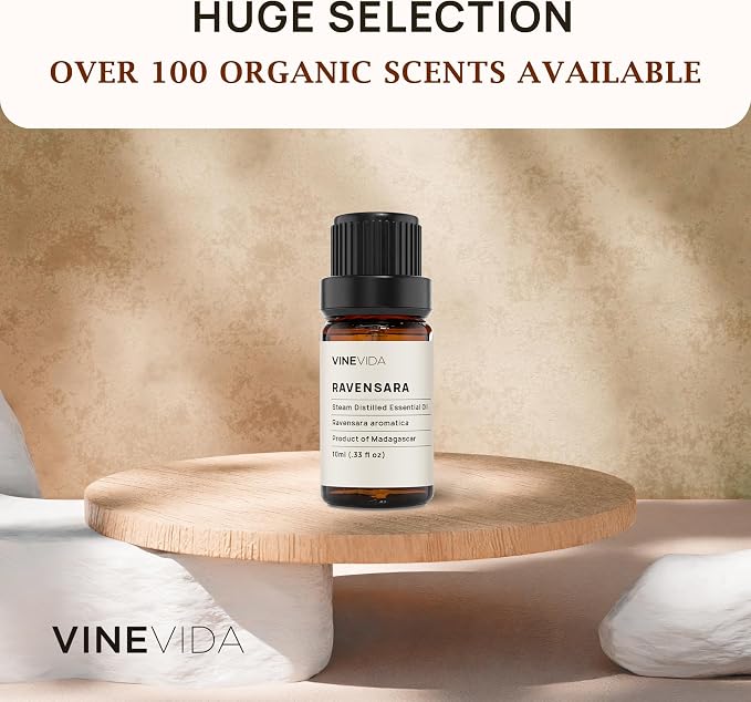 VINEVIDA Ravensara Essential Oil - Undiluted Ravensara Candle Oil Scent - DIY Candle Scents for Candlemaking