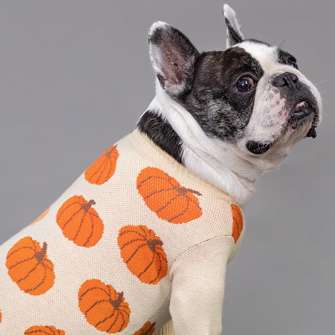 Fitwarm Pumpkin Dog Sweater, Thanksgiving Outfit for Small Dogs Boy Girl, Pet Outfit, Orange, Beige, Medium