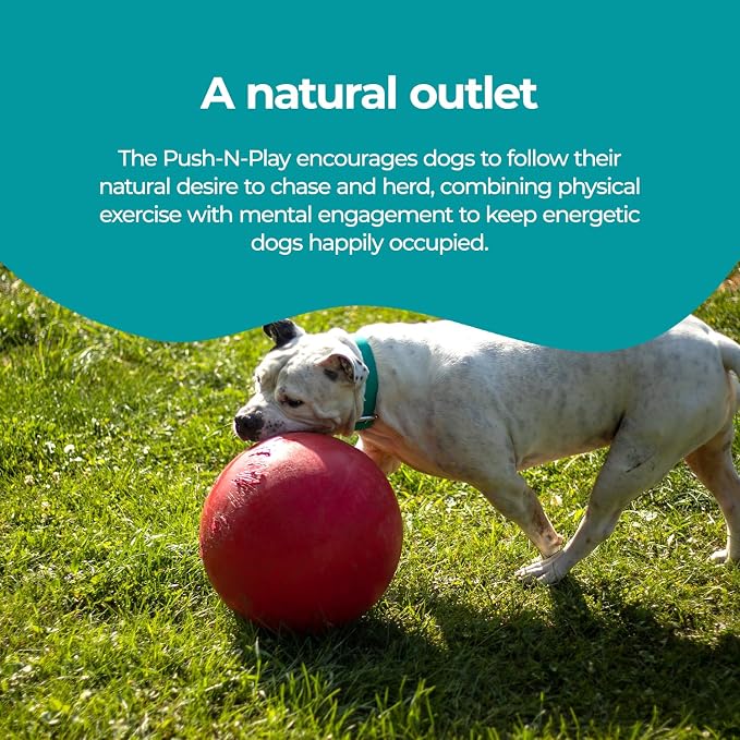 Jolly Pets Push-n-Play Ball Dog Toy, 14 Inches/Extra-Large, Red All Breed Sizes