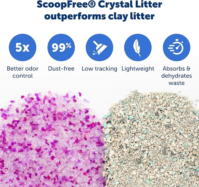 PetSafe ScoopFree Disposable Crystal Cat Litter Tray - Easy Cleaning Box - Refill Tray for Automatic Litter Box - Lavender Scent - 4.3 lb Bags - 9 Pack