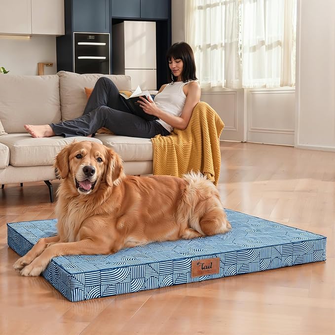 Jumbo Waterproof Orthopedic Dog Bed for Extra Large Dogs | Egg Crate Foam, Pressure Relief, Fits 54x37 Crates, Machine Washable 1680D Oxford Cover, Indoor & Outdoor Use, Up to 150 lbs