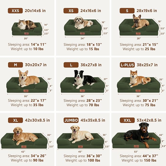 Comfort Expression Waterproof Orthopedic Dog Beds for Large Sized Dog | Supportive Egg Crate Foam Large Pet Bed with Removable Bolster, Dog Couch with Washable Cover & Non-Slip Bottom, 36x27 Inch