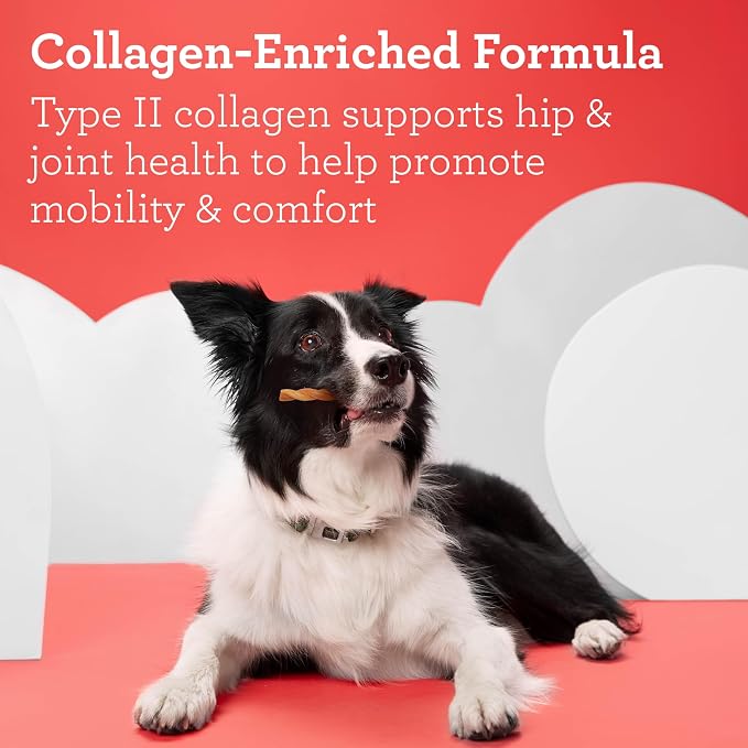 DreamBone CollaYUMS Twists Plus Collagen Rawhide-Free Dog Treats, 20 Count | Supports Hip and Joint Health, Daily Chew, Digests Safely and Completely, With Real Chicken & Peanut Butter, For Adult Dogs