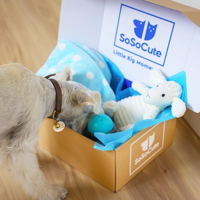 Puppy Starter Kit – 5pc Dog Toy Gift Set for Small Dogs – New Puppy Essentials Gift Box with Blanket, Squeaky Plush, Teething Ring, Treat Ball & Chew Ball (Blue)