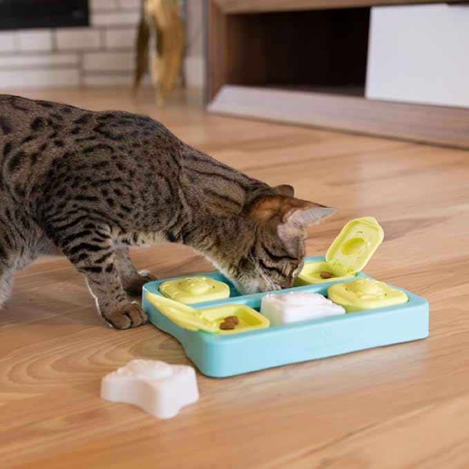 Catstages Kitty Cube Interactive Treat Puzzle Cat Toy, Blue (Pack of 12)
