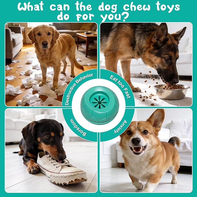 Treat Dispensing Dog Toy & Bully Stick Holder, Large/Medium Dogs