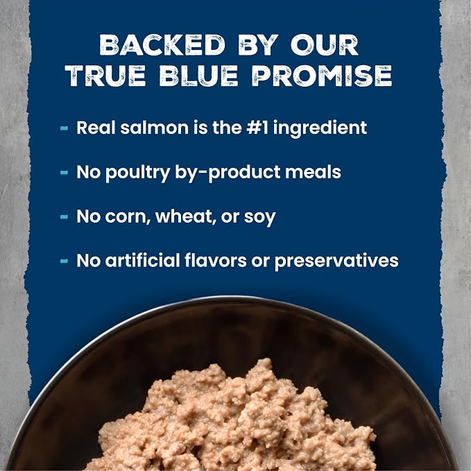 Blue Buffalo Wilderness Salmon Paté Adult Wet Cat Food, 3 oz, 24 ct | Real Salmon #1 Ingredients, High Protein & Grain-Free Recipes, Supports Energy for an Active Life