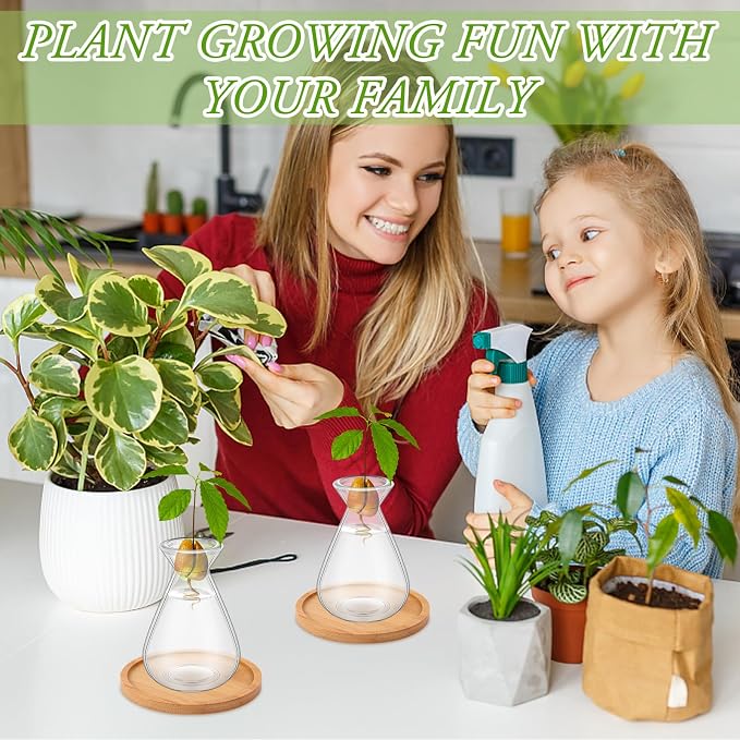6Pcs Small Avocado Seed Starter Vase with Bamboo Base Avocado Tree Growing Vase Kit Avocado Seed Sprout Starter Vase Planter Pot Easy Seed Gift Plant Glass for Acorn Garlic Vines Root Seeds