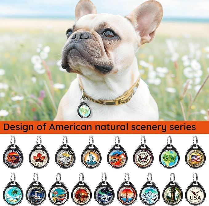 QR Code Dog Tags Personalized for Pets, Real-time Alerts, Flag