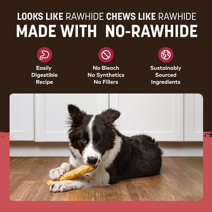 Earth Animal No Hide Dog Chews - Medium Rolls 3 Count Bacon Cheeseburger | Medium Bacon Cheeseburger Flavored Natural Rawhide Free Long Lasting Dog Chews - Treats for Medium Dogs