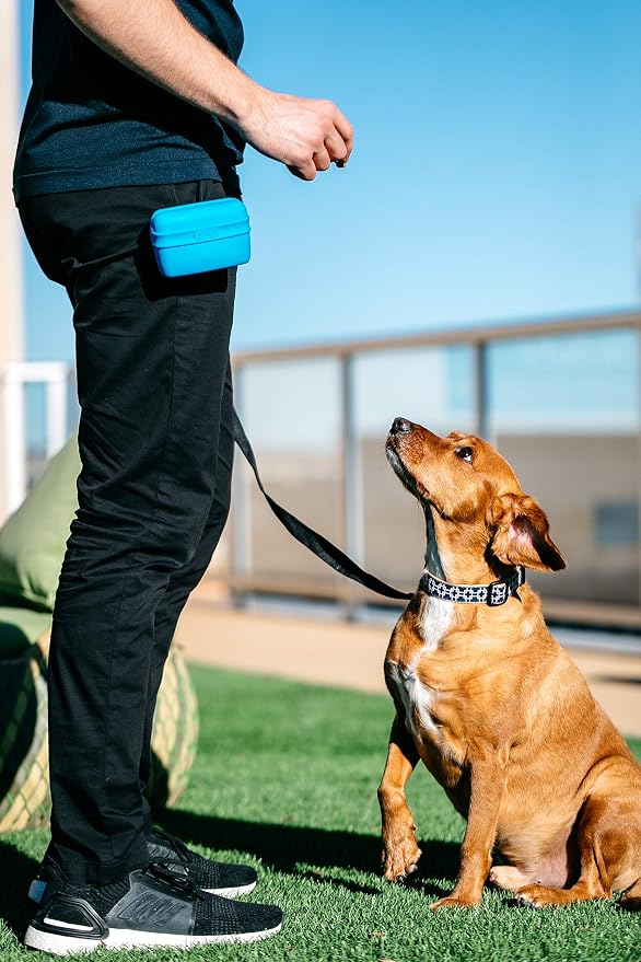 Dexas Pets Pooch Pouch Flexible Dog Treat/Training Treat Clip Pouch, Pro Blue (Pack of 2)