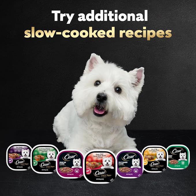 Cesar Loaf in Sauce Wet Dog Food Rotisserie Chicken,Filet Mignon,Angus Beef,and Ham & Egg Flavors Variety Pack,Wet Food for Dogs,3.5 oz Easy Peel Trays,24 Count (Pack of 2)