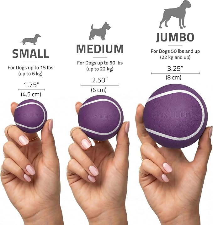 Playology Squeaky Chew Ball Dog Toy - Medium, Bacon Scent, 2-Pack
