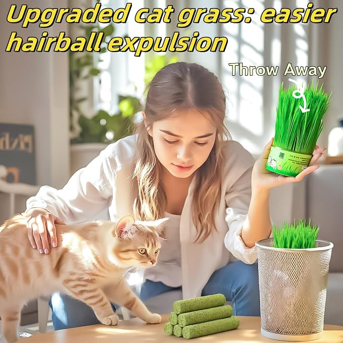 17PK Cat Grass Chew Sticks Freeze-Dried Dental Hairball Kitten Toy