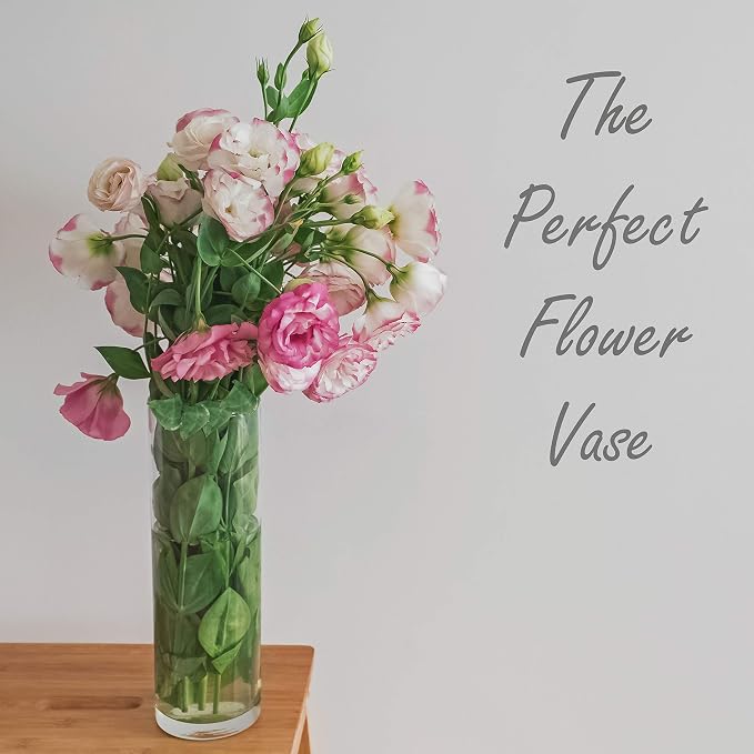 CYS Excel (H:16” D:4”) Tall Clear Glass Cylinder Vase | Multiple Size Choices Glass Flower Vase Centerpieces | Tall Hurricane Floating Candle Holder