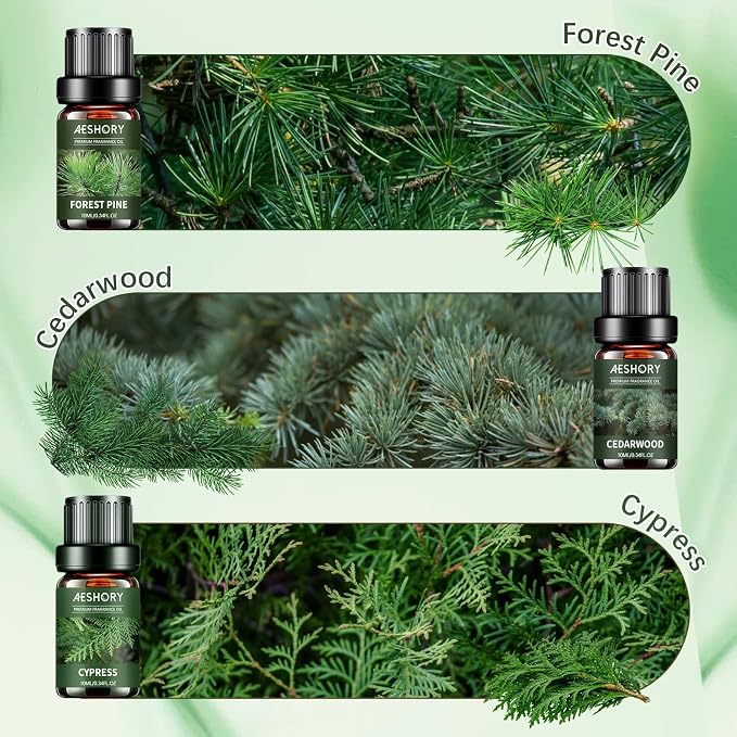 Woody Essential Oils Set - 6x10ML Woody Scents Fragrance Oil for Candle Making, Diffuser - Teakwood, Sandalwood, Cedarwood, Cyperss, Forest Pine, Frankincense Aromatherapy Oils