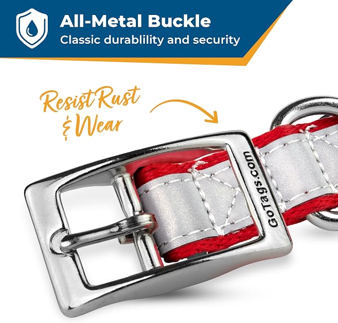 GoTags Embroidered Reflective Dog Collars with Metal Buckle, Personalized Dog Collar Custom Embroidered with Pet Name and Phone Number, Sizes for Puppy and Dogs Extra Small, to Medium and Large
