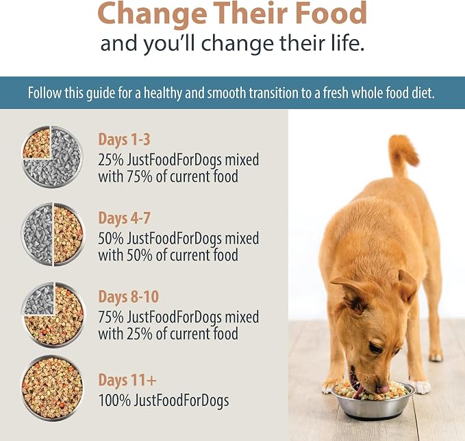 JustFoodForDogs Pantry Fresh Wet Dog Food, Complete Meal or Dog Food Topper, Turkey & Whole Wheat Macaroni Human Grade Dog Food Recipe - 12.5 oz (Pack of 6) | Fresh Pet Meal or Fresh Dog Food Topper, Human Grade Recipe Made With Whole Foods, Preservati...