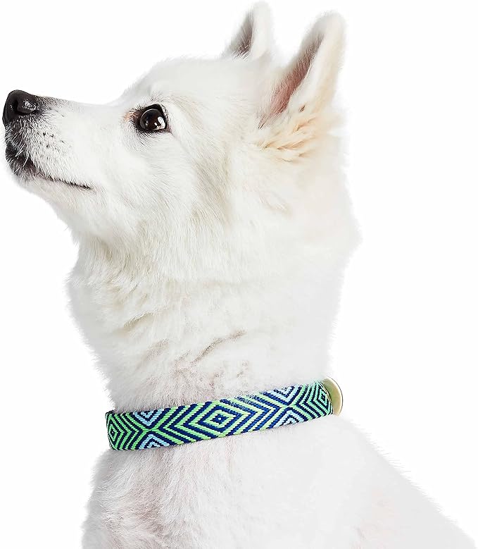 Blueberry Pet Southwestern Tribal Lozenges Stylish Green Adjustable Dog Collar with Metal Buckle, Neck 9-12.5", for Small Breed