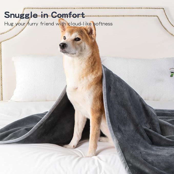 Waterproof Pet Blanket for Small Dogs and Cats | Reversible Flannel Fleece Throw Blanket for Sofa Couch Puppy Leakproof, Washable Furniture Protector 30"x40",Dark Grey