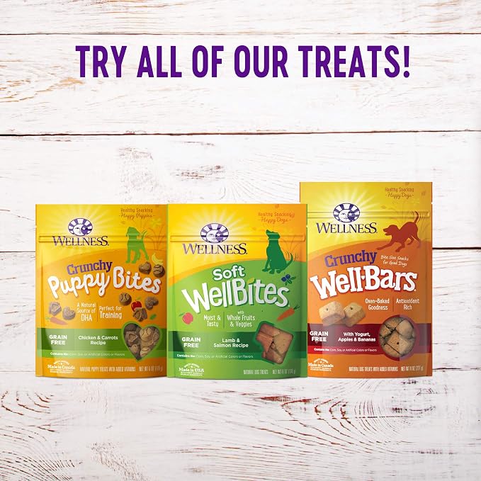 Wellness Soft Puppy Bites Healthy Grain-Free Treats for Training, Dog Treats with Real Meat and DHA, No Artificial Flavors (Lamb & Salmon, 8-Ounce Bag) (Pack of 2)