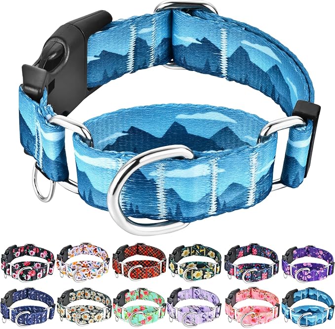 Martingale Collar for Dogs with Buckle Dog Collar Adjustable Soft Nylon Boy Dog Collars for Small Dogs, Blue Sunset